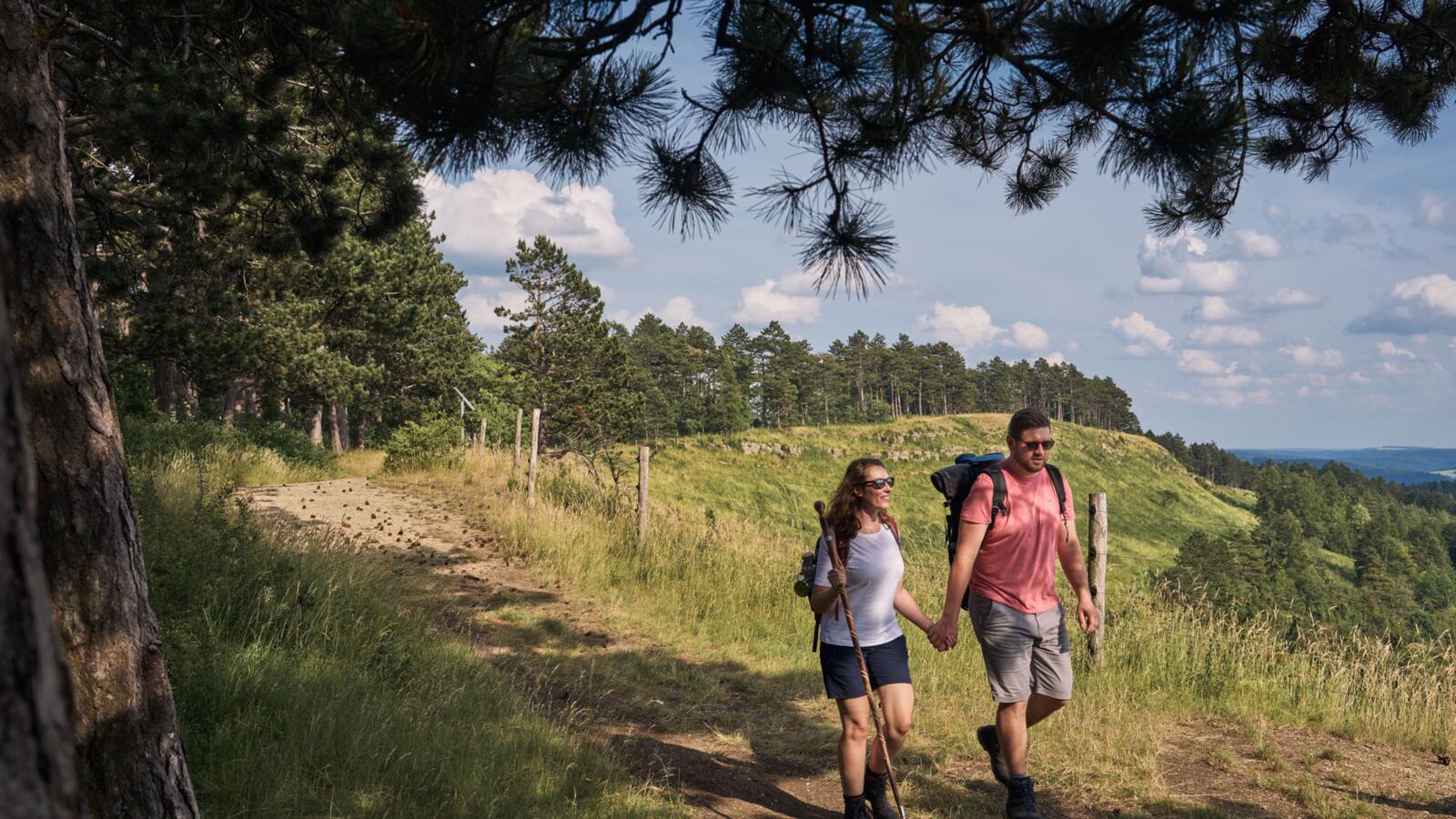 Wanderer auf den Dieteröder Klippen